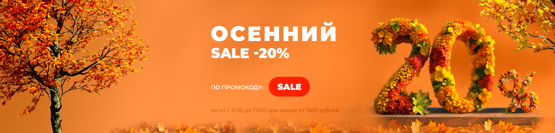 SALE - 20% 🔥🔥🔥