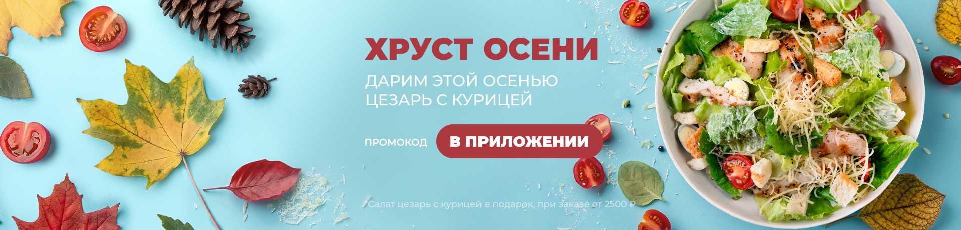 Цезарь с курицей в подарок 🎁